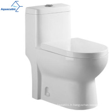 Aquacubic Modern Design Washdown Washing Economic Sanitary Ware One Piece Toilet